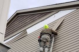 Best Siding Replacement  in Oakwood, IL